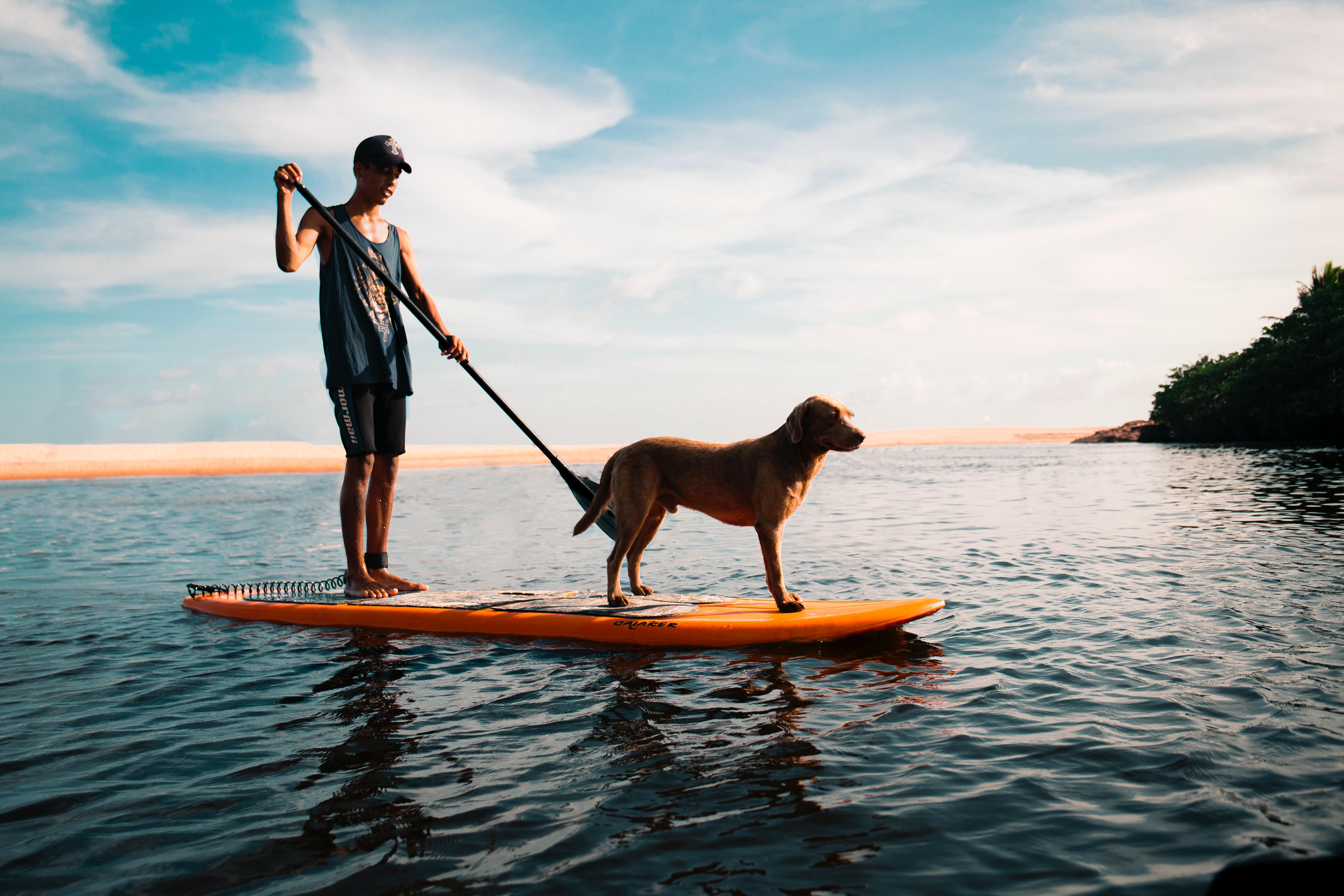 Paddle avec son chien 