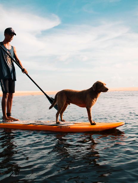 Paddle avec son chien 