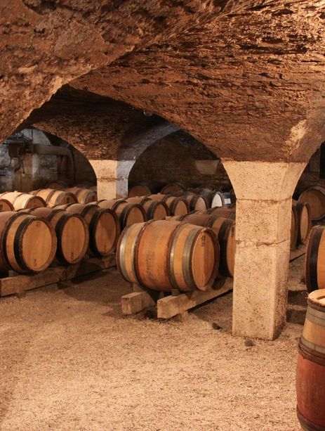 Une cave de vins de Bourgogne