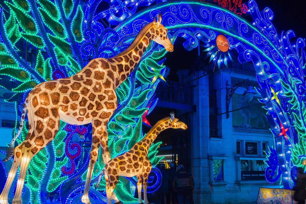 Entrée lumineuse au zoo d'Anvers 
