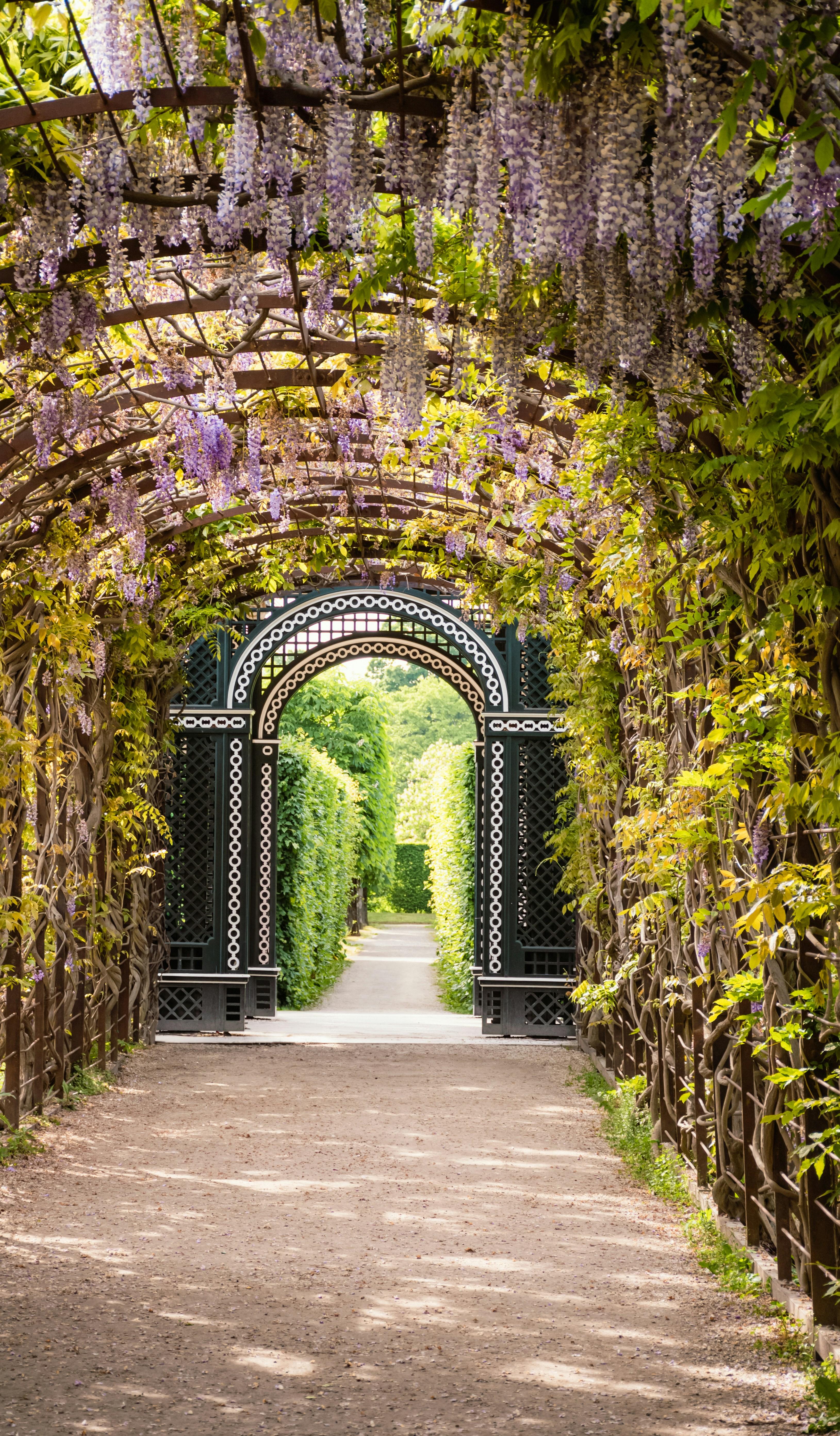 Les allées des jardins du château de Schönbrunn à Vienne