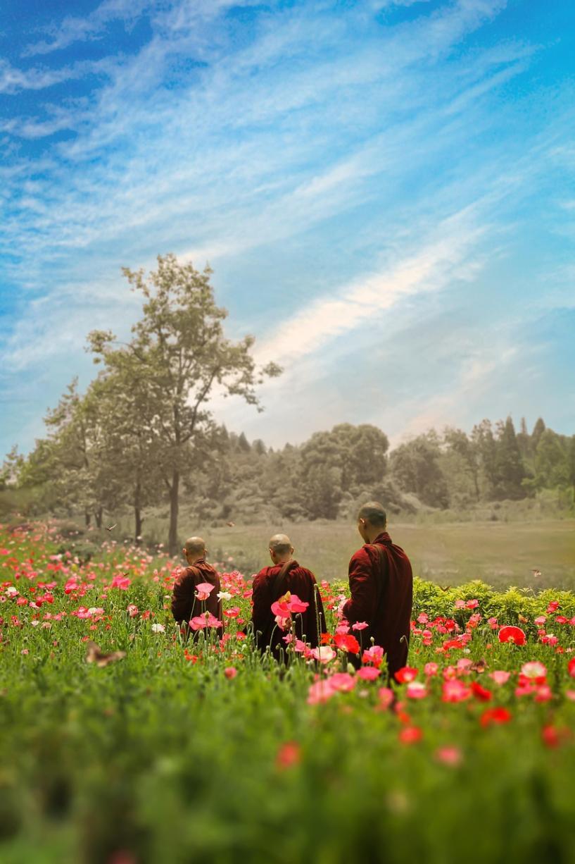 Les moines dans la campagne en fleurs près de Chengdu 