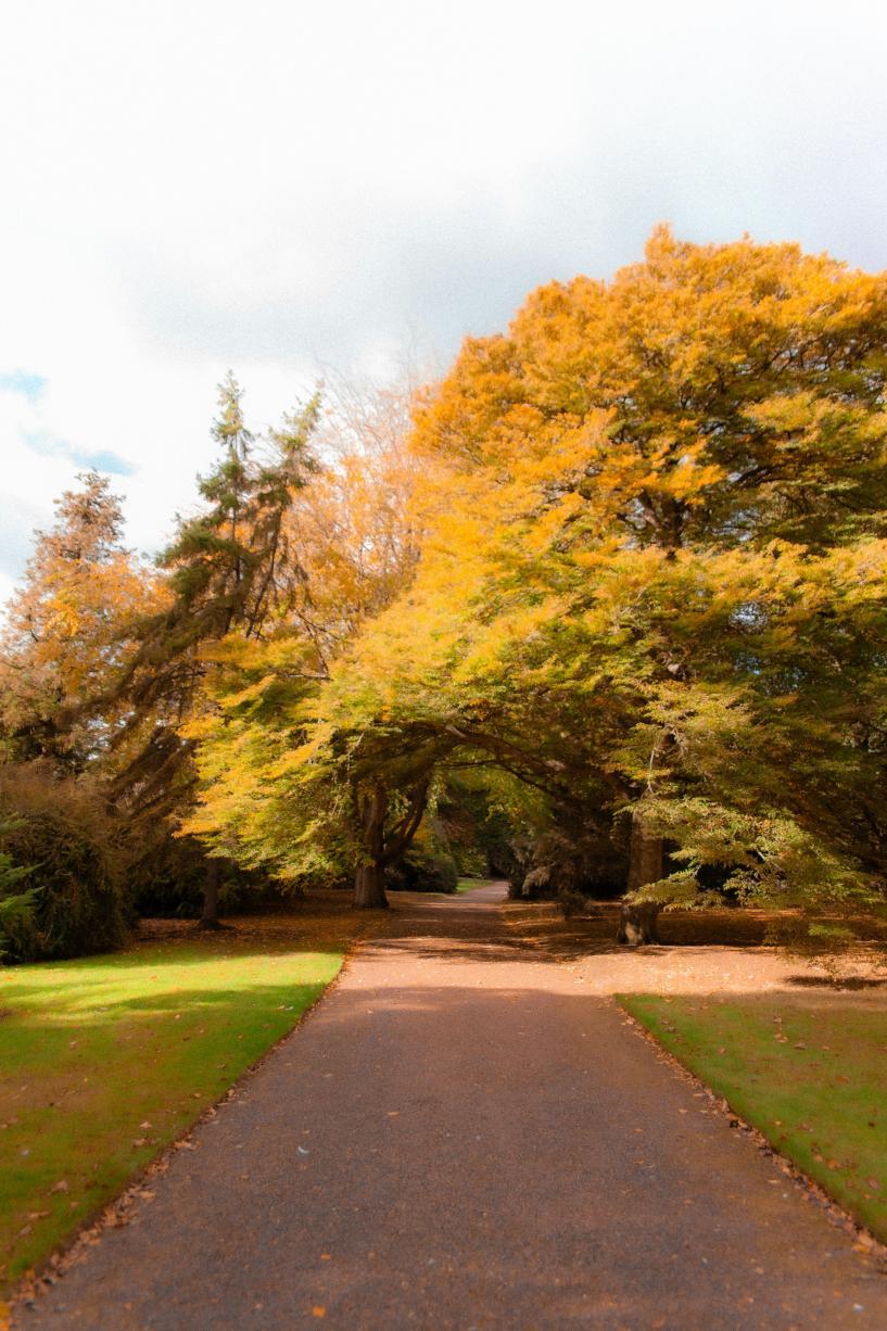 Les allées du jardin botanique d'Edimbourg