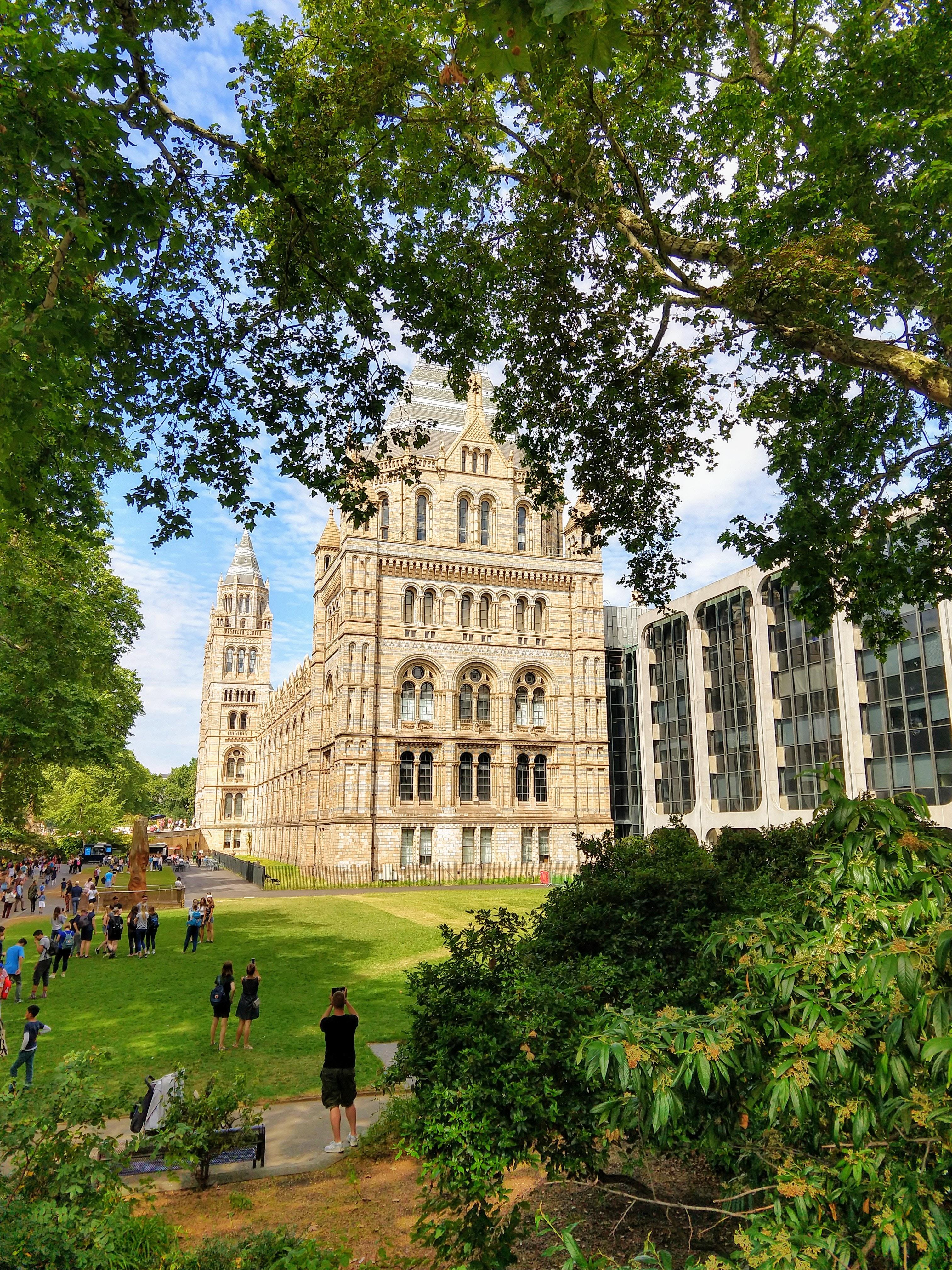 Les pelouses de Cromwell road, devant le musée d'histoire naturelle de Londres