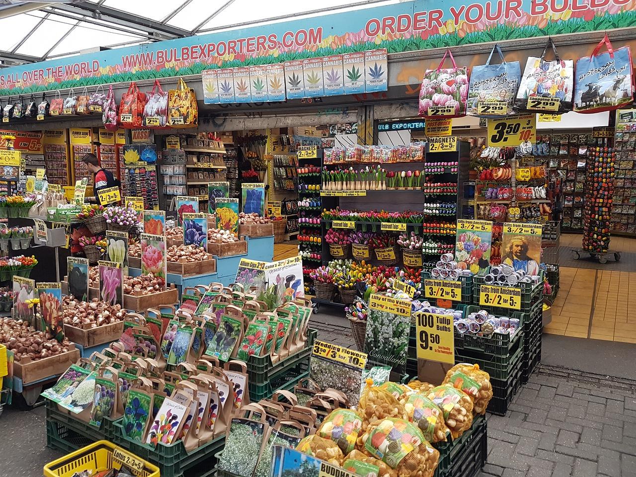 Les bulbes de tulipes au marché aux fleurs d'Amsterdam