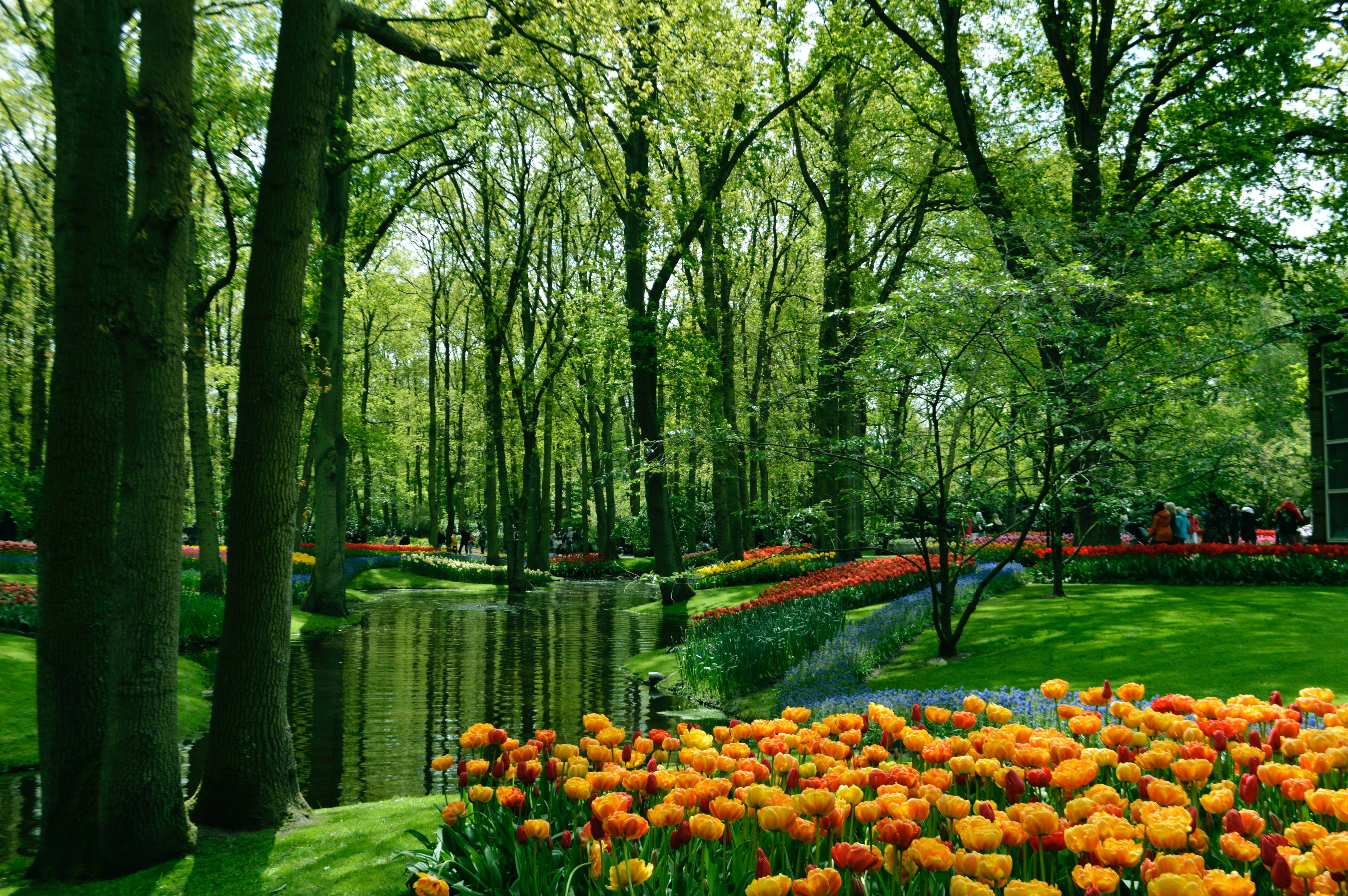 Le jardin du Keukenhof