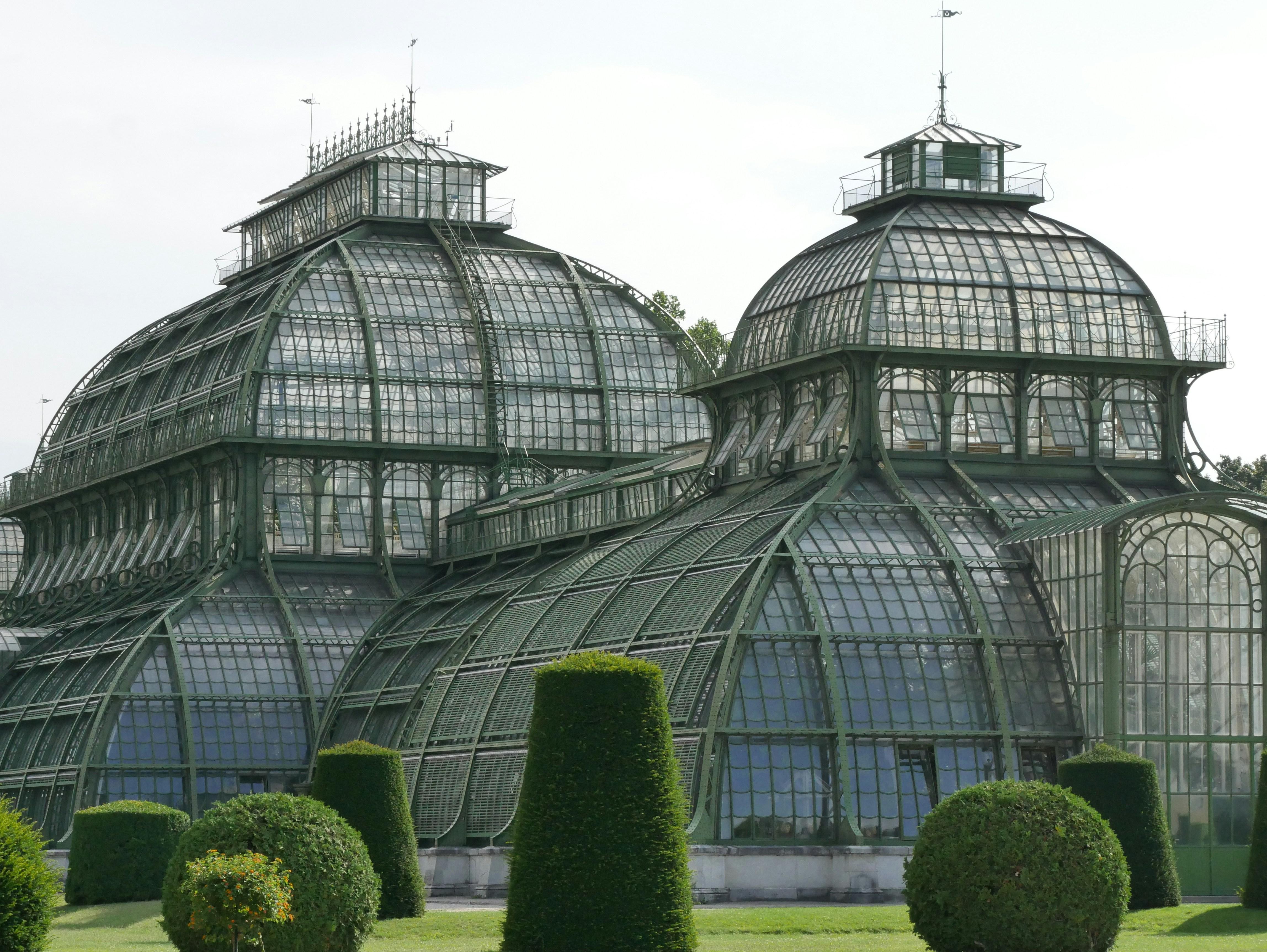 La palmeraie du château de Schönbrunn