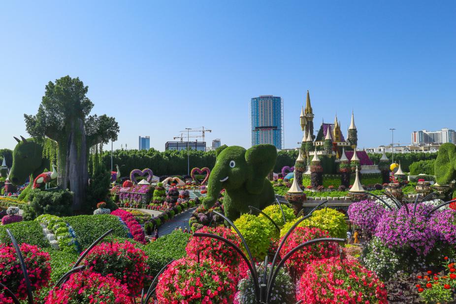 Un paysage fleuri, au Miracle Garden de Dubaï 