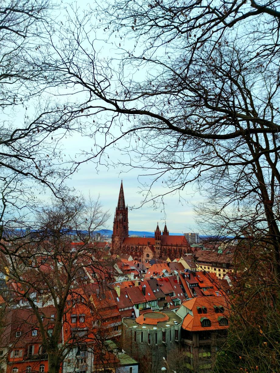 Panorama sur les toits rouges de Fribourg-en-Brisgau