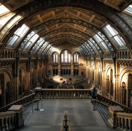 Le grand hall du musée d'histoire naturelle de Londres 