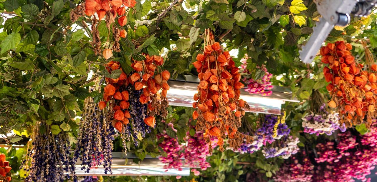 Les fleurs à Amsterdam 