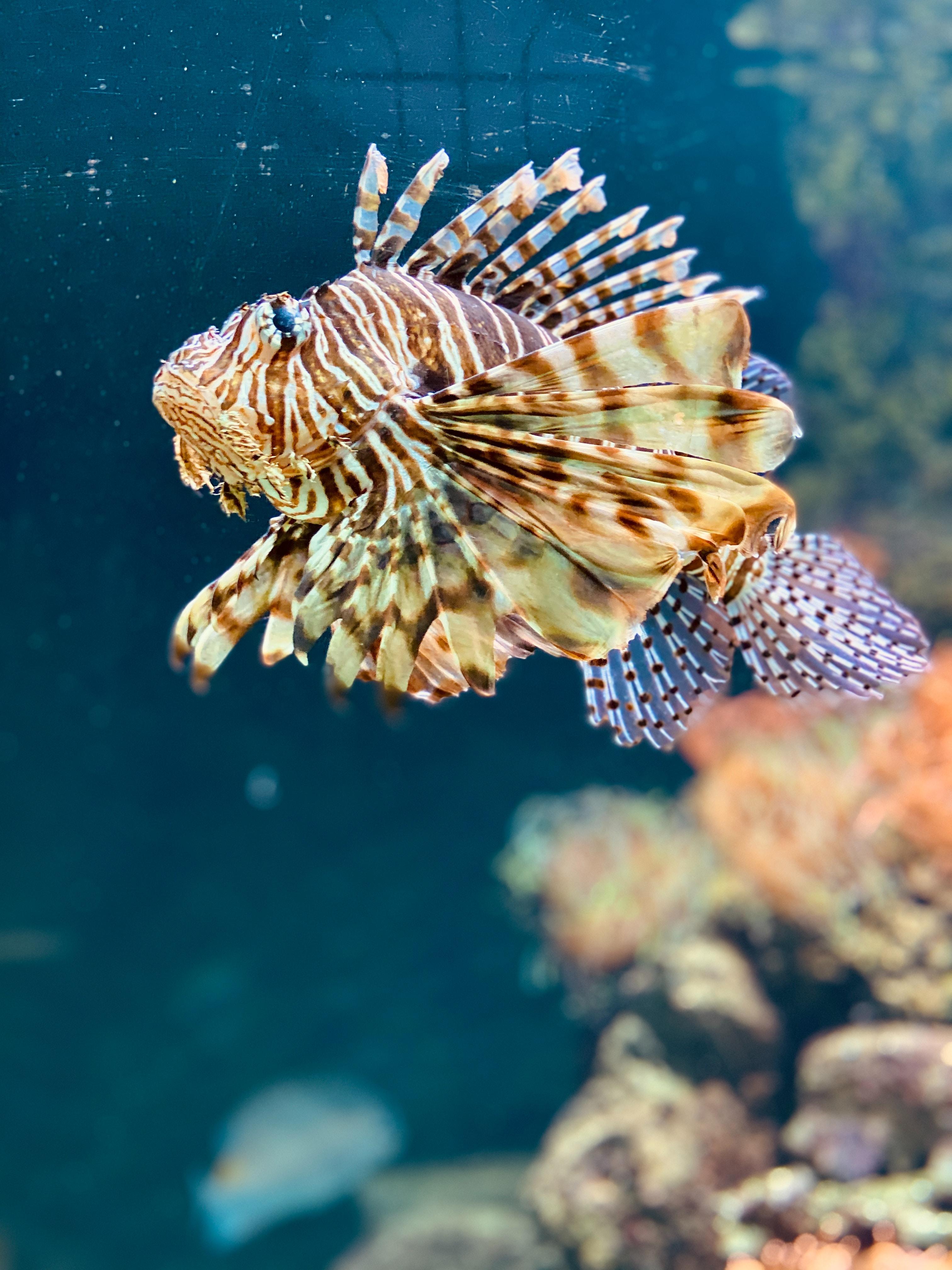 L'aquarium du zoo d'Anvers 