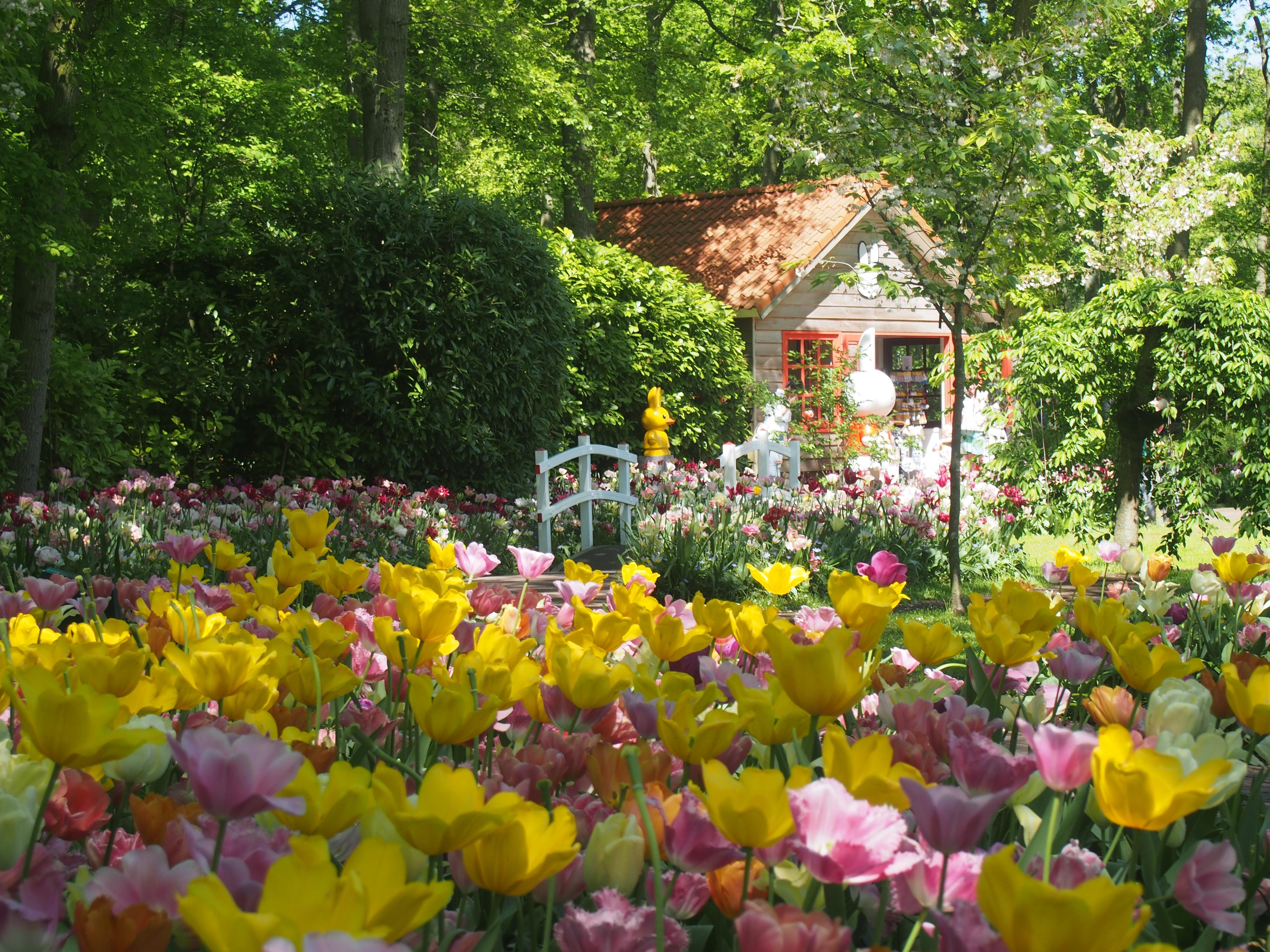 Une petite maison du jardin du Keukenhof