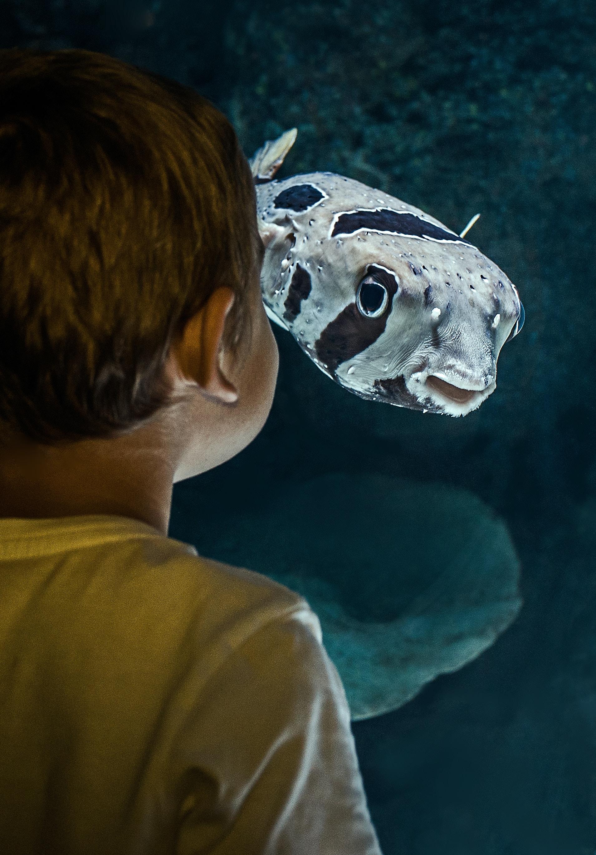 L'aquarium tropical de Sea Life Val d'Europe 