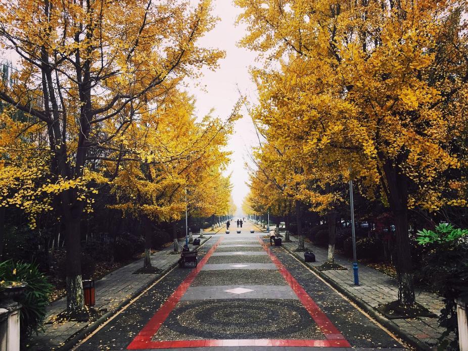 En visite dans les rues de Chengdu