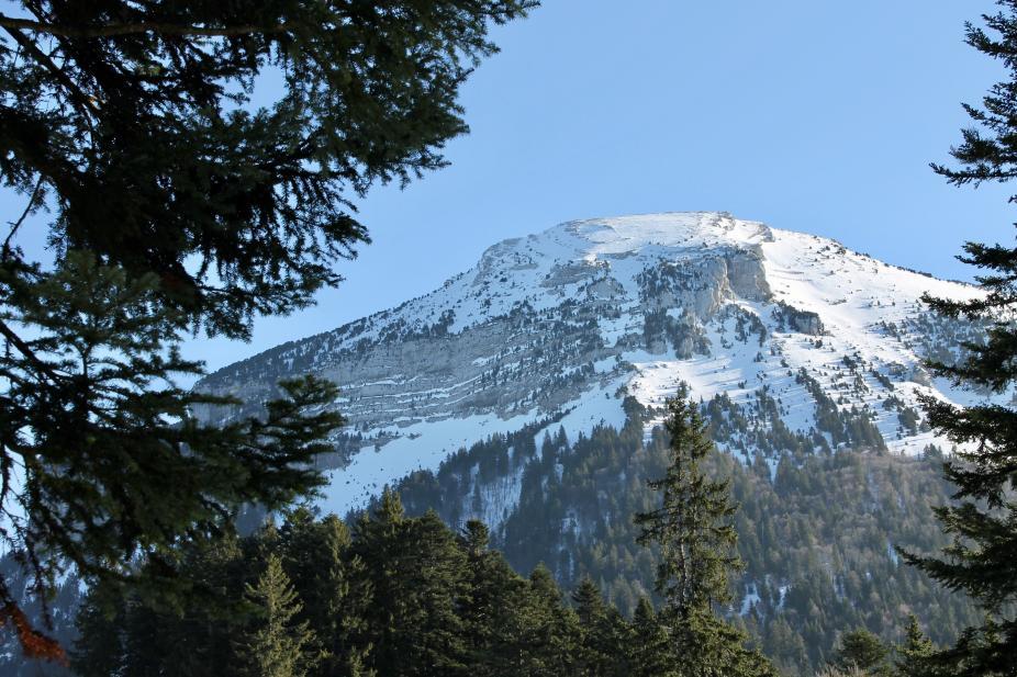 Le massif de la Chartreuse, pour skier à Grenoble 