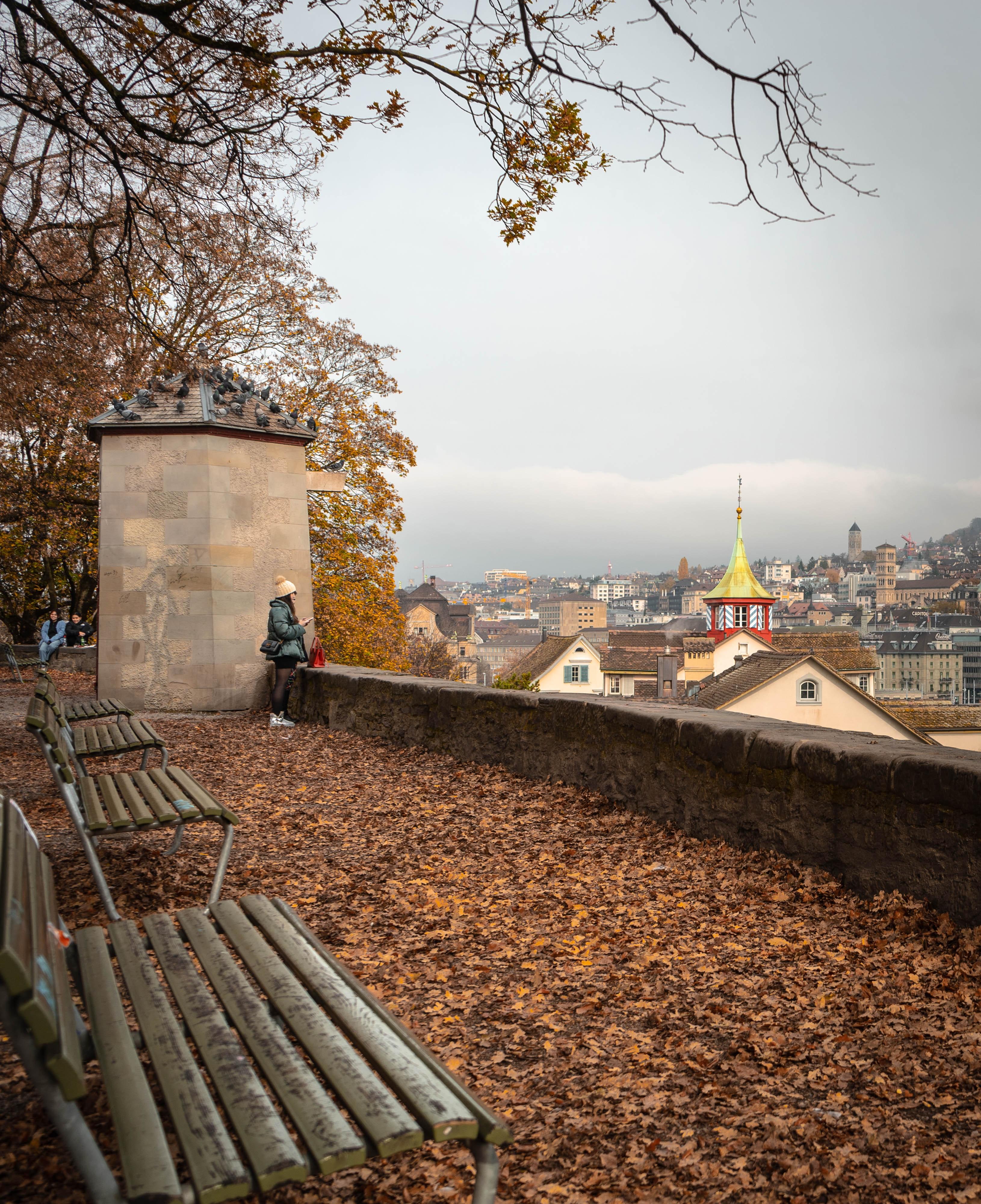 Le parc Lindenhof