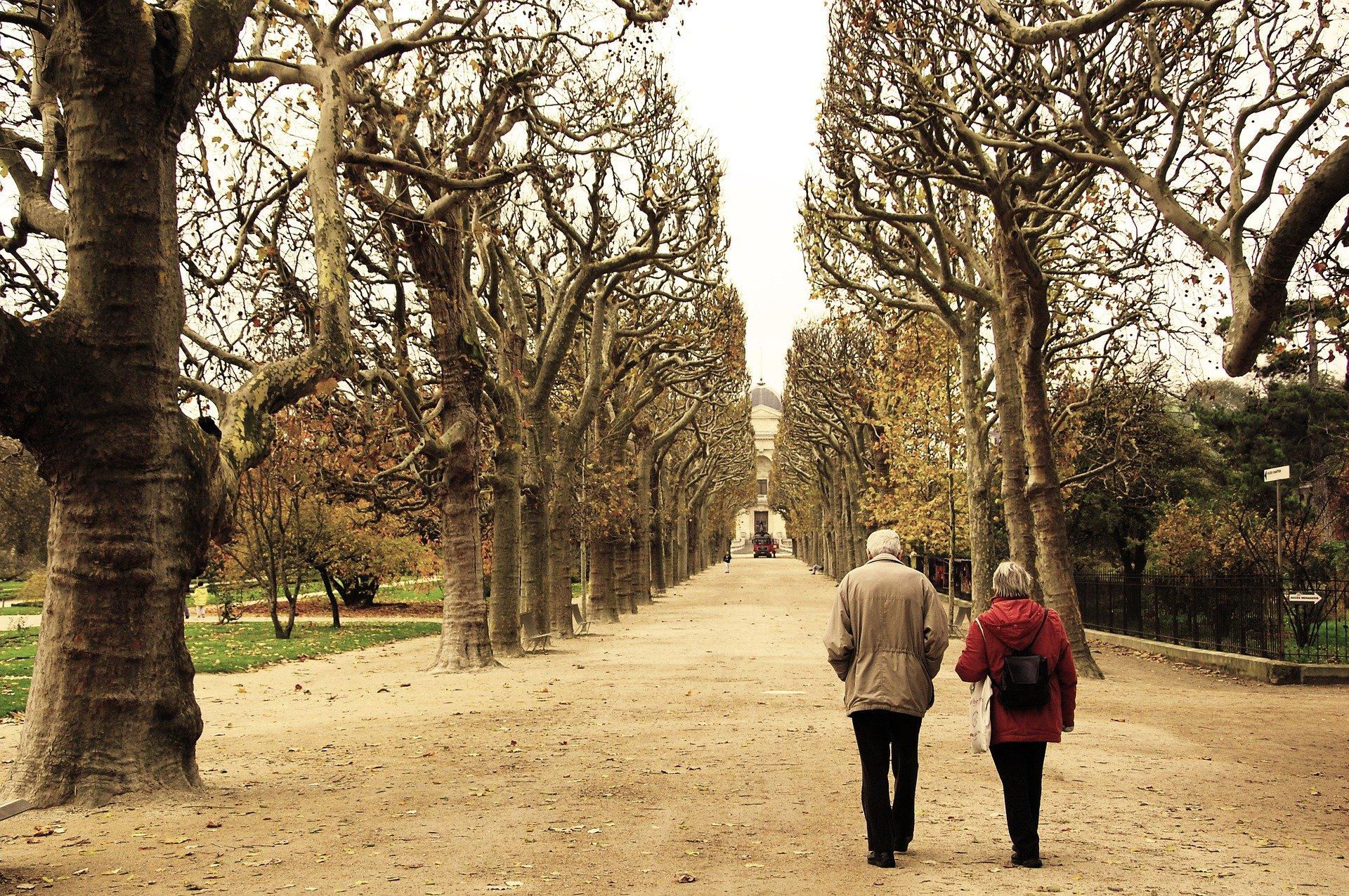 Balade au parc