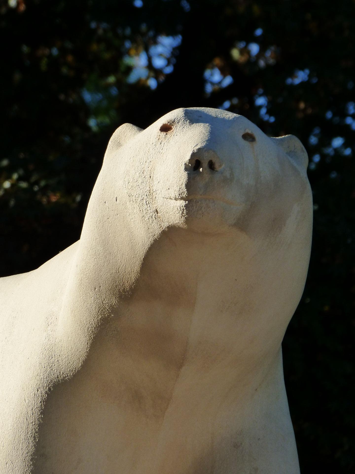 L'ours de Pompon