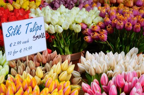 Les tulipes au marché aux fleurs d'Amsterdam