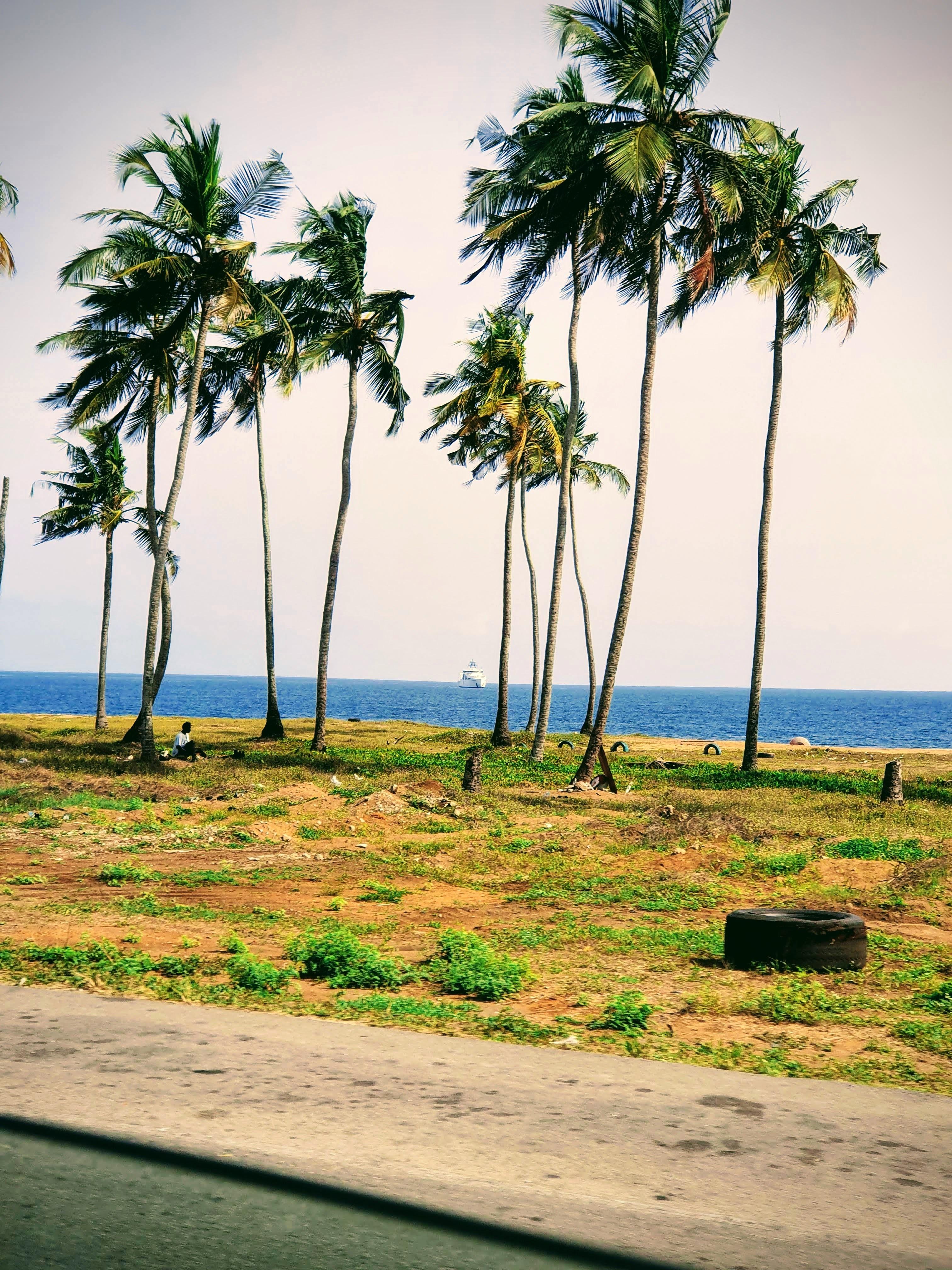 Une plage sauvage sous les cocotiers à Abidjan