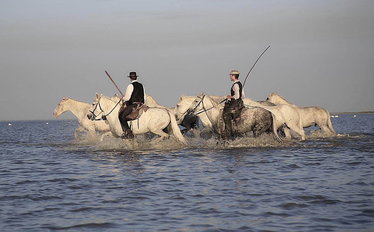 Les gardians de Camargue