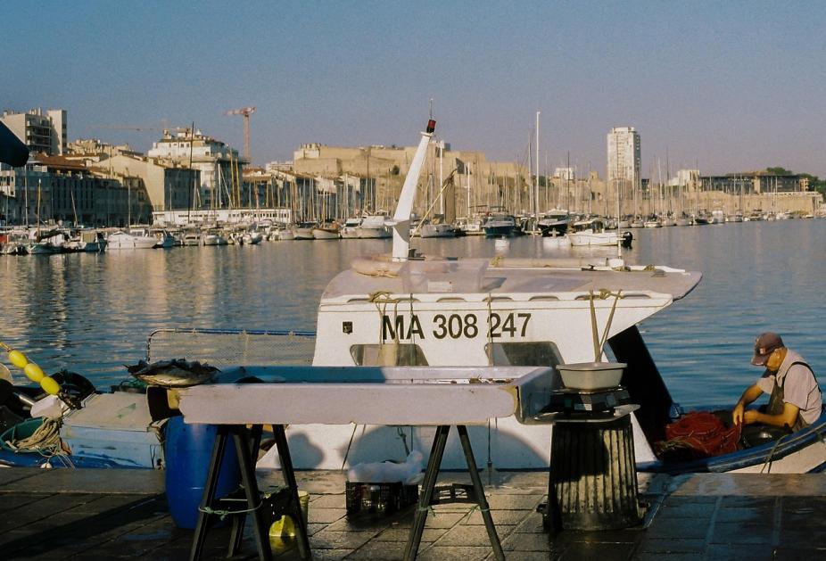 La pêche du matin, sur le Vieux Port de Marseille