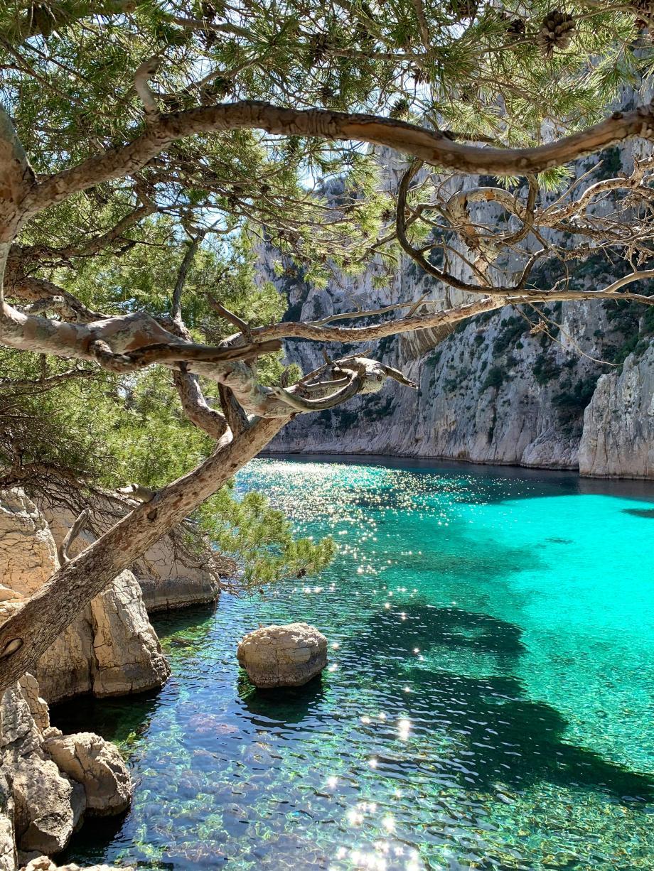 Une baignade dans les Calanques 