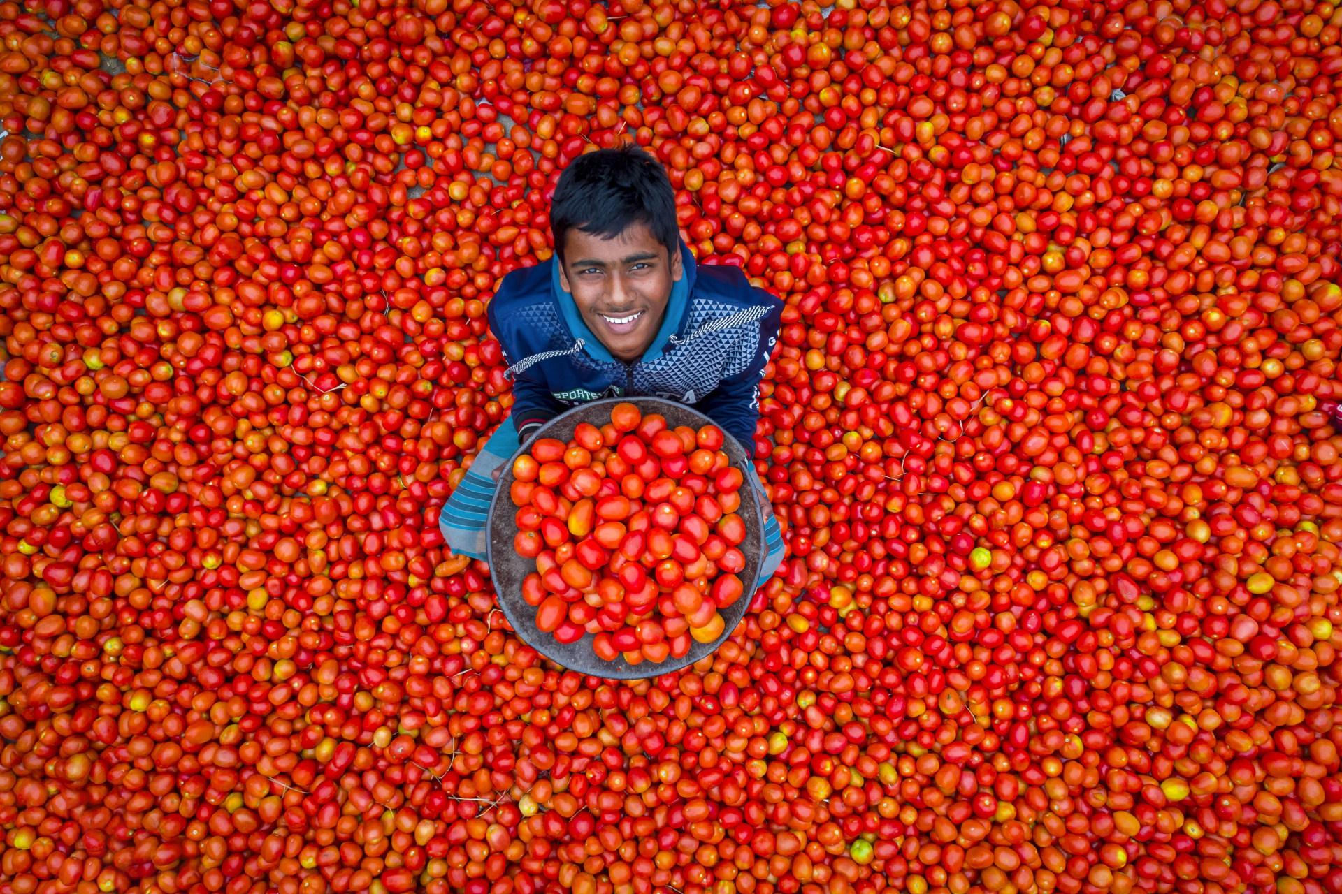 Tomates