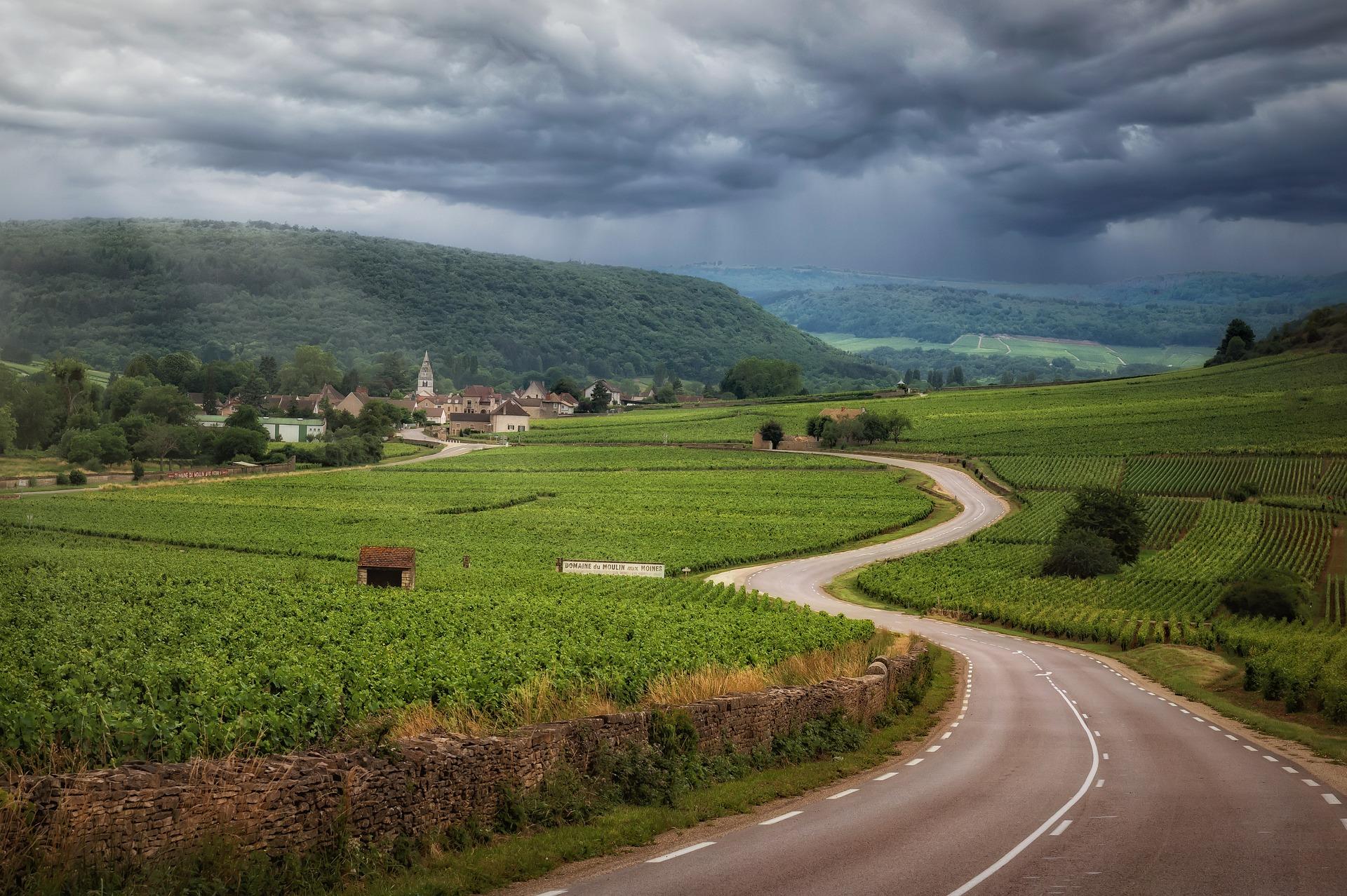 La route des vins de Bourgogne