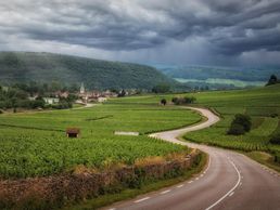 La route des vins de Bourgogne