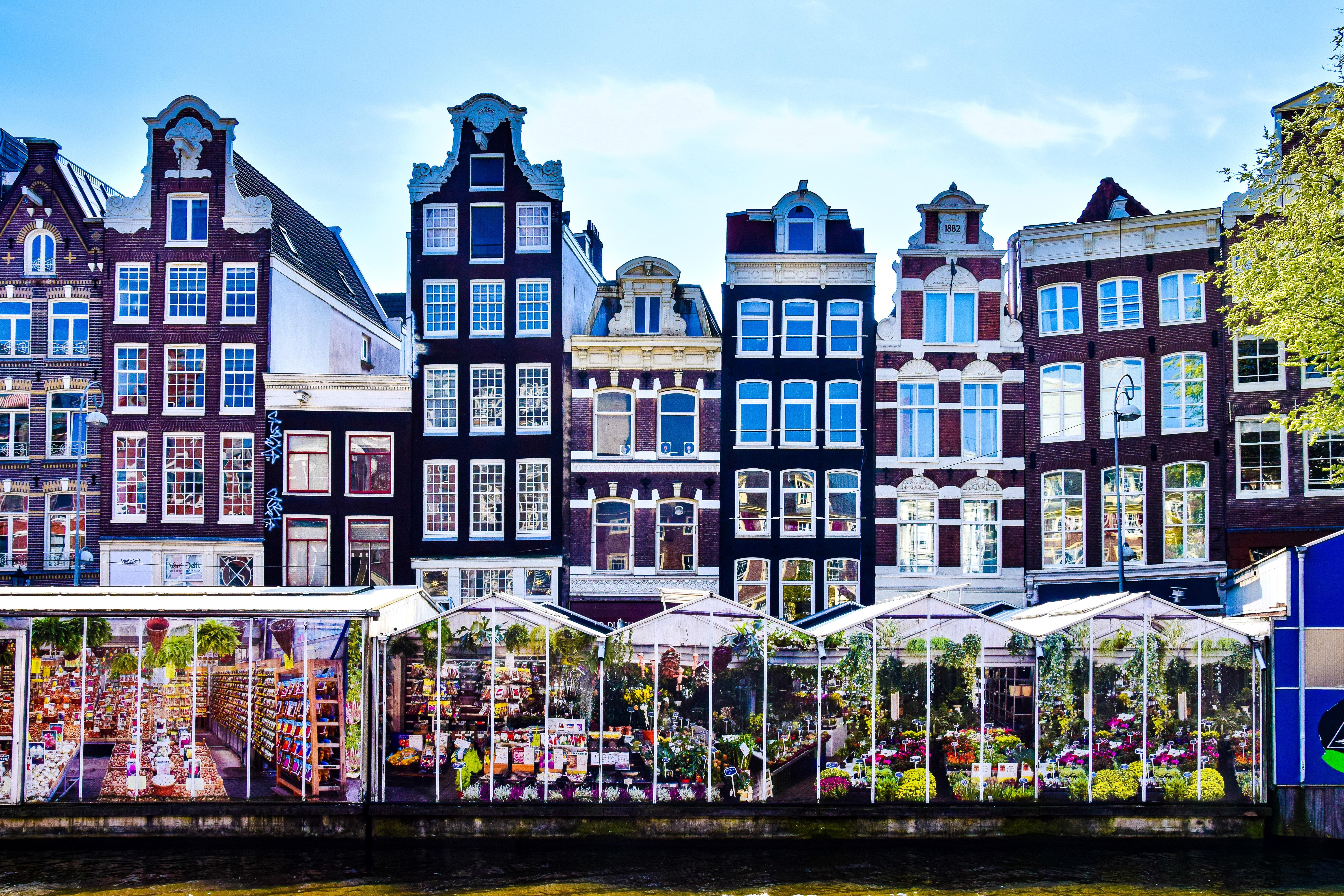 Le marché aux fleurs d'Amsterdam 