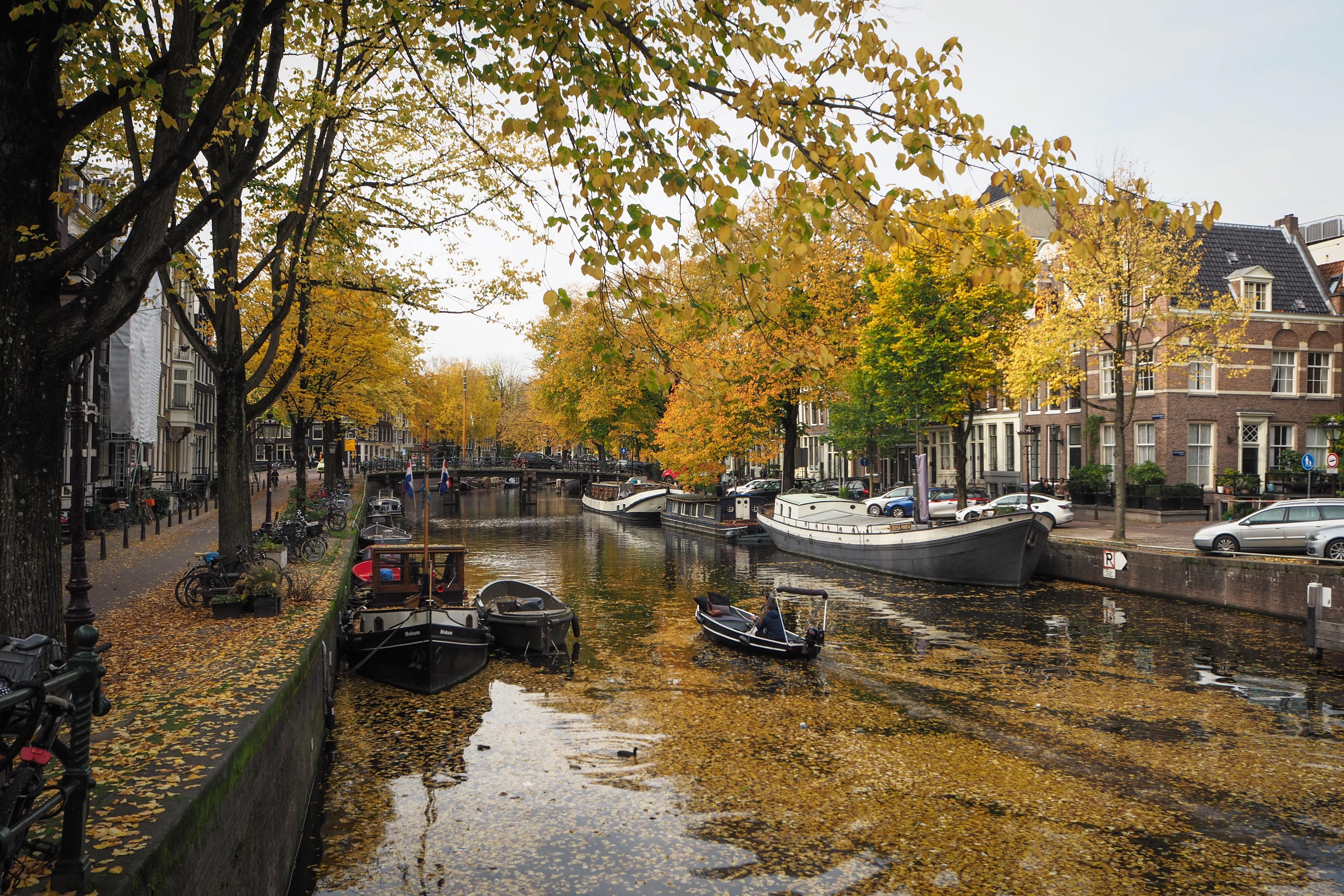 Balade sur les canaux d'Amsterdam