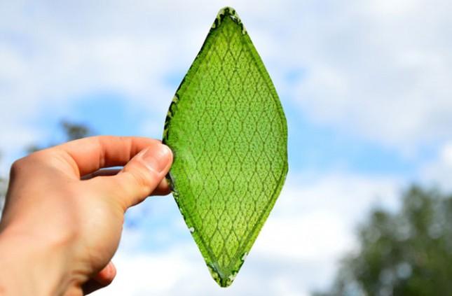 Silk Leaf, une innovation qui permet de produire de l’oxygène