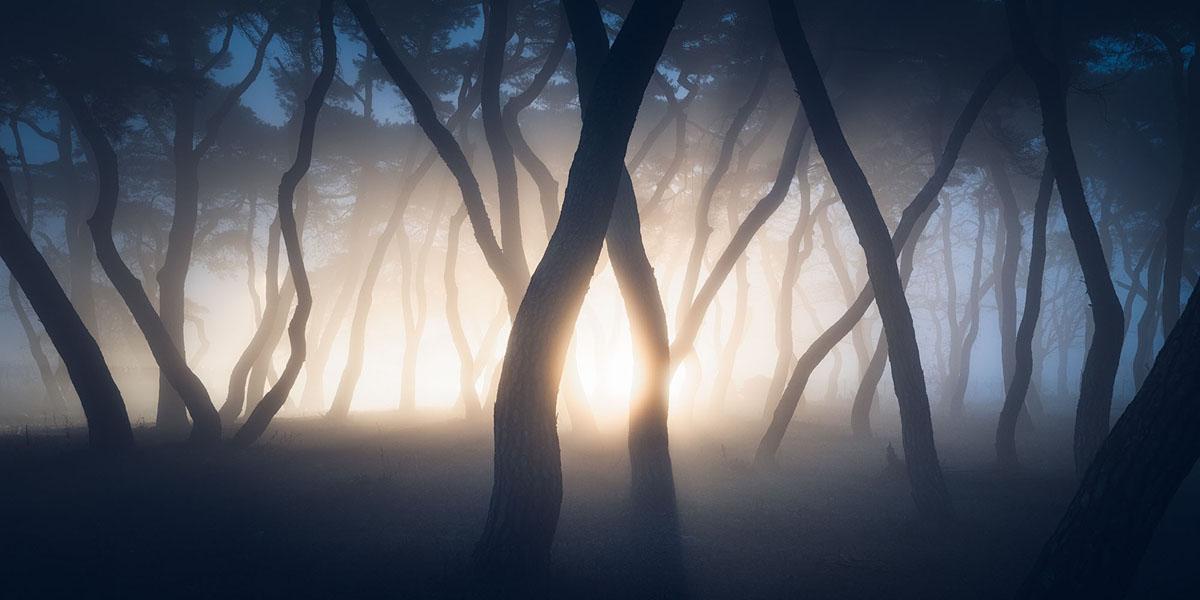Crédits : Nate Merz · Stranger Things · Boeun, Corée du Sud