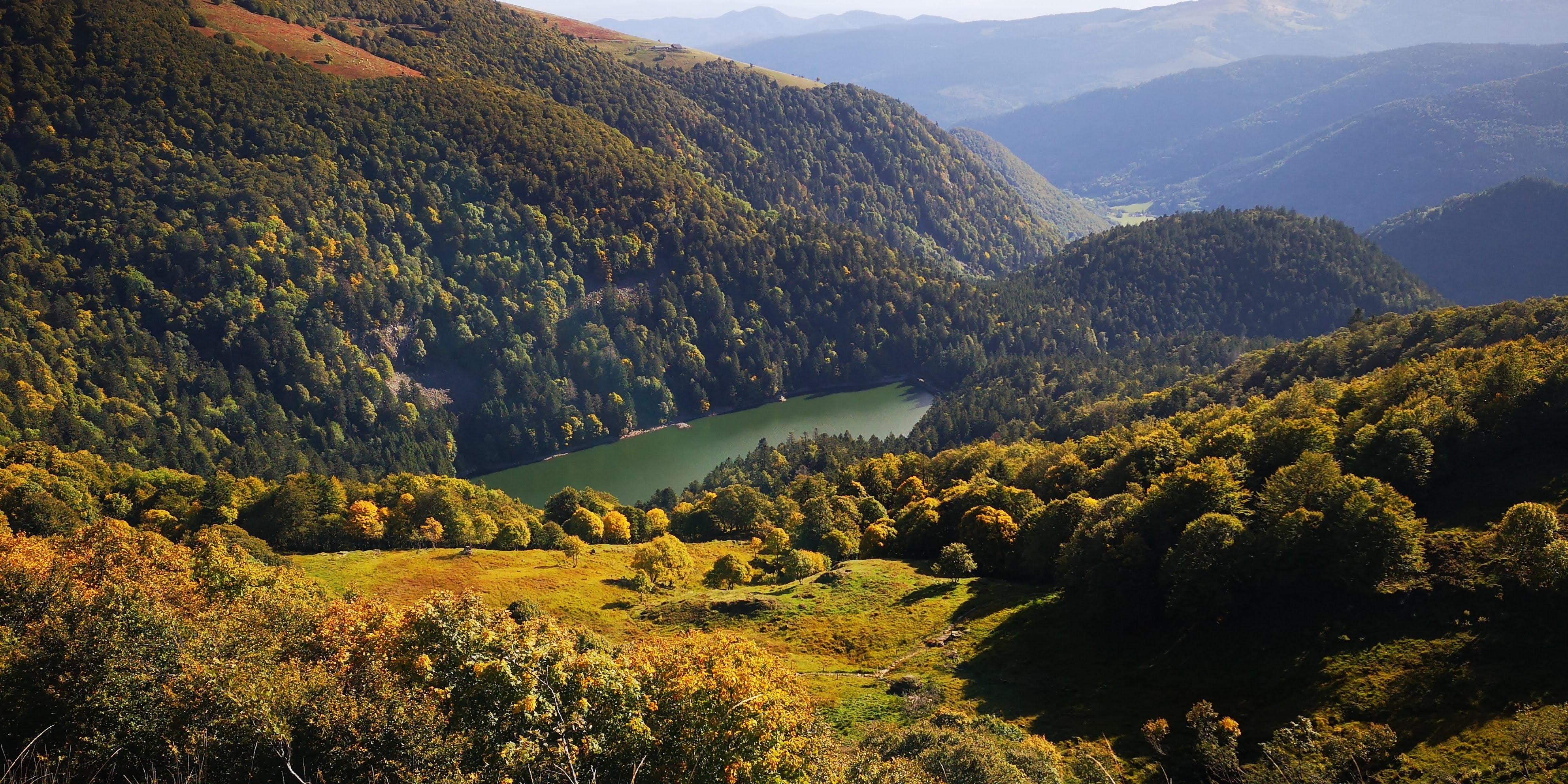 vosges