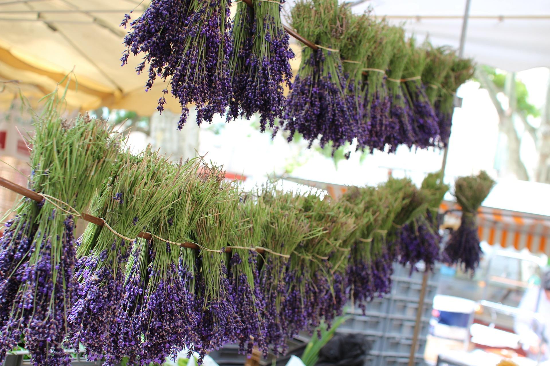 La lavande du marché d'Aix-en-Provence