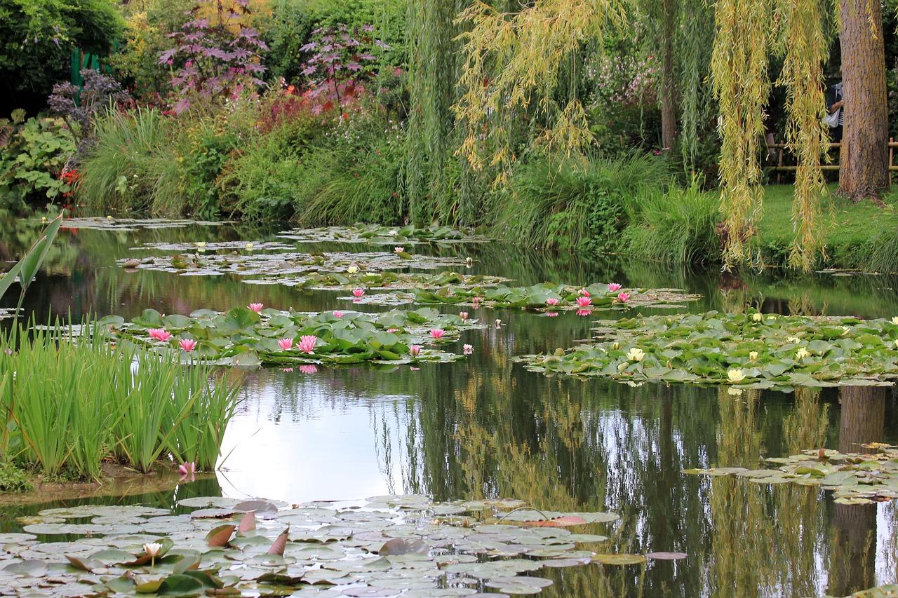 Le jardin des Nymphéas, à Giverny
