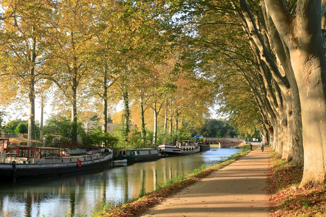 Une balade au bord du canal du midi 