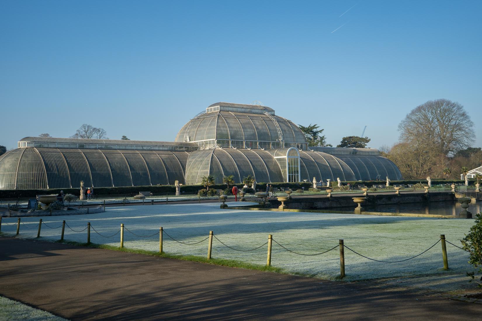 Les jardins botaniques de Kew en hiver