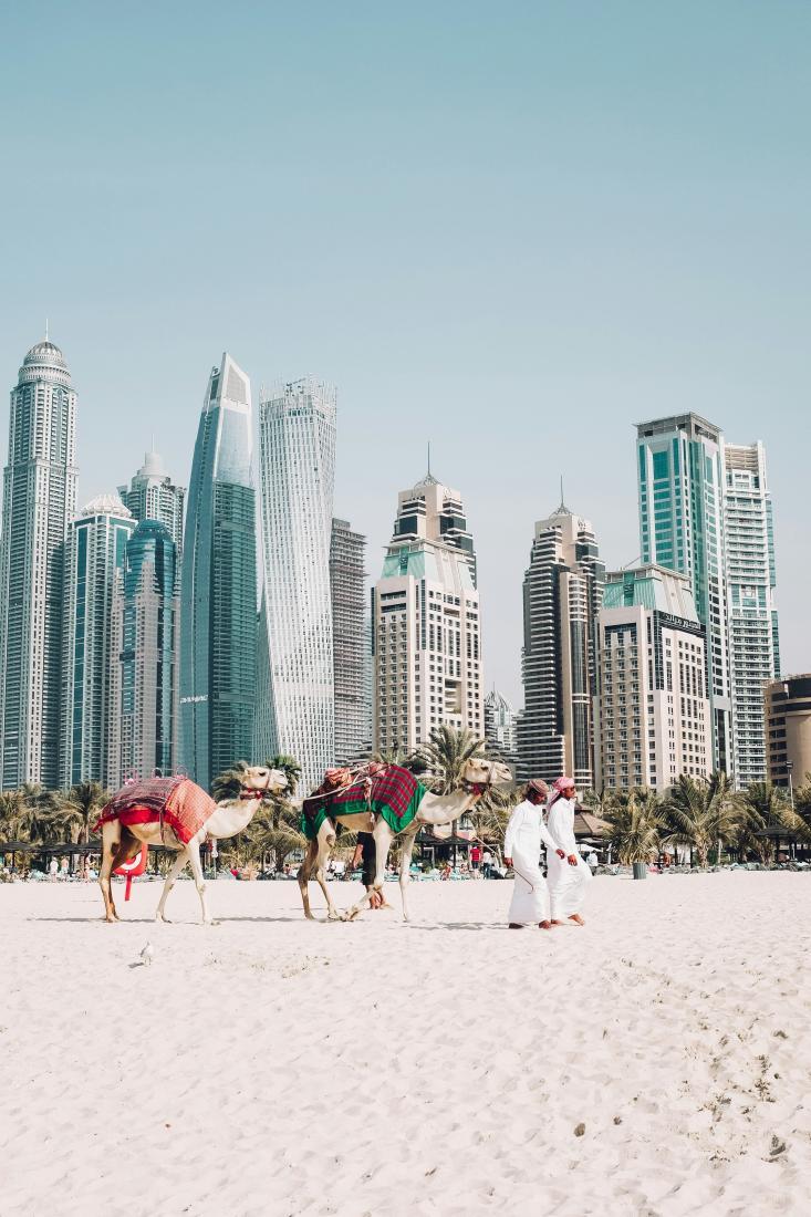 Les balades à dos de chameau, à JBR Beach, à Dubaï